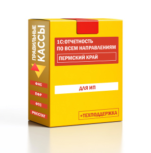 Отчетность_ИП_Пермский край